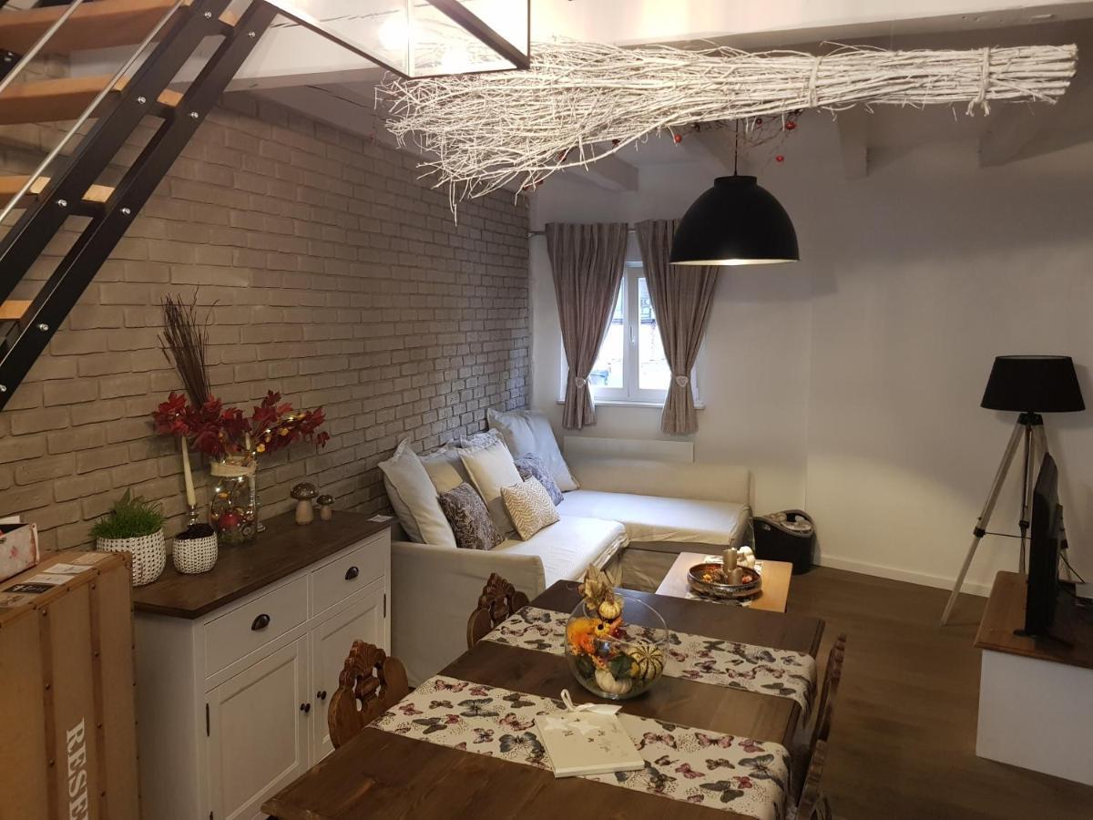 Apartamento Le Nid De L'Ill, Magnifique Duplex Cosy Petite France Estrasburgo Exterior foto