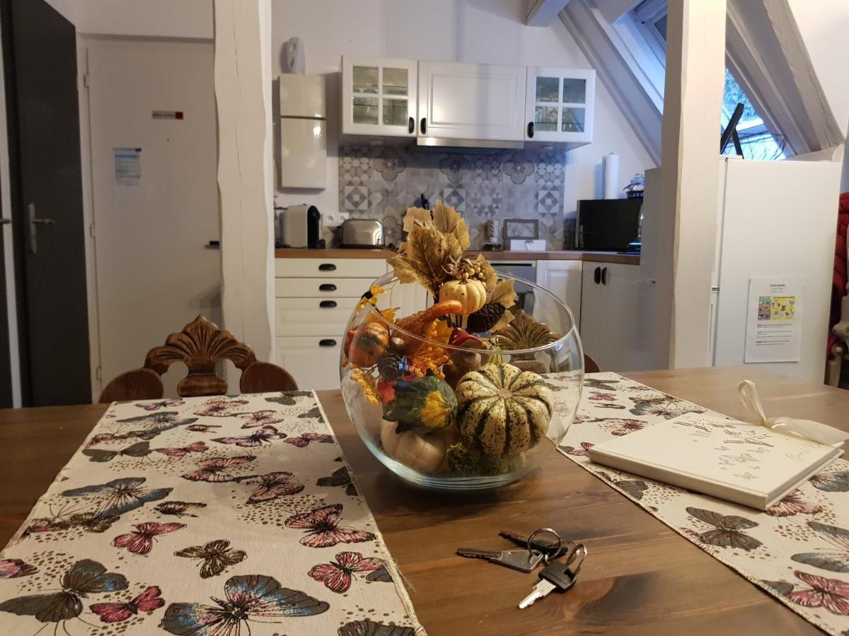 Apartamento Le Nid De L'Ill, Magnifique Duplex Cosy Petite France Estrasburgo Exterior foto